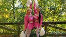 Porno Dan picture 21