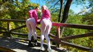Porno Dan picture 7